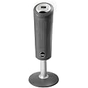 30-inch Pedestal Heater with Remote