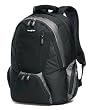 Samsonite Venue Backpack Fits Most 17IN Notebooks
