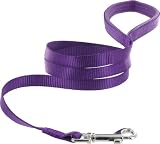 Kakadu Pet KPS-LAC-00071-FBA - Kakadu Pet Galaxy Padded Nylon Dog Lead 12-Inch by 48-Inch Purple 