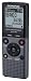 Olympus VN-711PC Digitaler Rekorder 2GB inkl. Batterien und USB grau