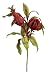 Vivien Red Floral Bundle