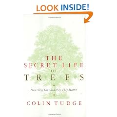 The Secret Life of Trees: How They Live and Why They Matter