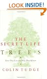 The Secret Life of Trees: How They Live and Why They Matter