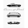 Curves of Steel (Streamlined Automobile Design at Phoenix Art Museum) (Hardcover)