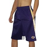 Mens Pro Edge NBA Los Angeles Lakers Mesh Sport Shorts - Dark Purple & Beige (Size: L)