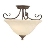 Semi Flush Mounted Light Fixtures
