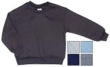 Toddler Boys Sweatshirt in Assorted Colors