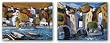Three Bridges and Cafe Del Mar Set by Miguel Freitas 24"x18" Art Print Poster