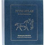 TCVM ATLAS - Mixed Chart Set