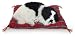 Westminster Border Collie on Blanket