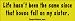 Life hasn't been the same since that house fell on my sister - funny bumper stickers (Large)