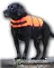 Small Up Buoy 'Classic' dog life jacket