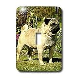 Dogs Pug - Fawn Pug - Light Switch Covers - single toggle switch