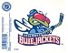 Columbus Blue Jackets Reusable Static Window Cling