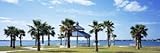 IMAGE OF Shade and Palm Trees in a Park, Bayfront Park, Sarasota Bay, Sarasota, Florida, USA Photographic Poster Print by Panoramic Images , 20x60