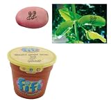 Fifi & The Flowertots Grow Your Own Fifi Plant