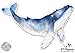 Whale Watercolor Beautiful - 3