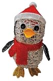 Seasonal Visions 5523103 Prelit Outdoor Penguin 16