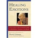 Healing Emotions (Paperback)