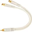 Steren 6" Python Series RCA Y Cable - 1 Male To 2 Female