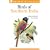 Birds of Southern India (Helm Field Guides)