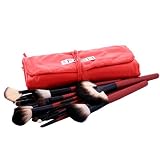 FASH Professional Quality 2011 Series Cosmetic Brush Set with Faux Leather Pouch, Goat and Nylon, 22-Piece