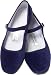 Blue Velvet Mary Jane Chinese Shoes