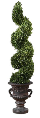 Uttermost Preserved Boxwood Spiral Topiary Botanicals
