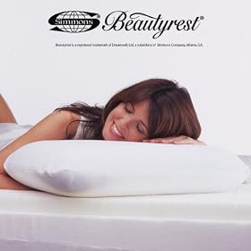 Beautyrest Ortho Posture Memory Foam Pillow (Standard)