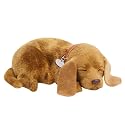 Perfect Petzzz Mutt Puppy Dog Breathing Pet Red Tote and Bed NEW!