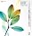 Adobe Creative Suite Premium 2.0 ���{��� for Windows