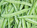 Navbahar Cluster beans seed packet