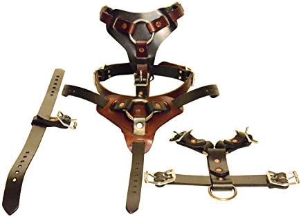 Dog Harness Premium Leather for Walking Easy Training Large, Medium and Small Dogs. Individually Hand Crafted. (2 Tone: Black Chest Mahogany Straps, M)