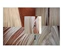 Pretty Pony Animals Photographic Poster Print by Carmen Mandel-Cesareo, 10x8