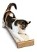 Pet Supplies : Smart Cat 3831 Bootsie's Combination Scratcher - Case of 4