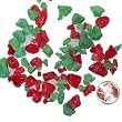 Red/Green Peppermint Crunch