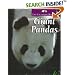 Giant Pandas (Untamed World)
