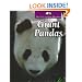 Giant Pandas (Untamed World)