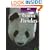 Giant Pandas (Untamed World)