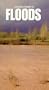 Storm Force: Floods [VHS]