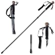 Tracks Compact Travel Staff