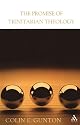 Promise of Trinitarian Theology