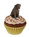 Chocolate Lab PUPCAKE Stone Resin Trinket Box