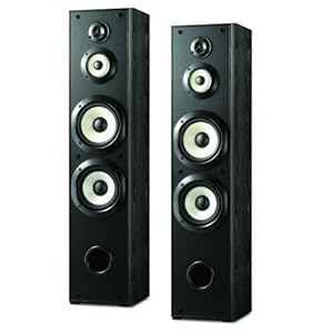 Sony Powerful 200 watts 4-Way Floor Standing Speakers (Pair) with Dual 8" Mica Reinforced Woofers 1" Nano Fine Balanced Dome Tweeter and 3 ¼" Enhanced H.O.P. Cone Mid Driver - Black Finish