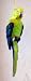 Tropical Parrot Bird Hanging Indoor Outdoor Window Ornament