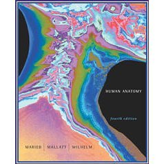 Human Anatomy- W CD by  Elaine Nicpon Marieb, Jon Mallat, and Patricia Brady Wilhelm