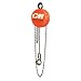 Columbus McKinnon 4626 Cyclone Hand Chain Hoist with Hook, 2 ton Capacity, 10' Lift Height