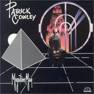 Patrick Cowley - Megatron Man - Zortam Music