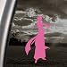 Bleach Pink Decal Ulquiorra Arrancar Number 4 Car Pink Sticker