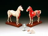 Horse Acupuncture Model-CH8701